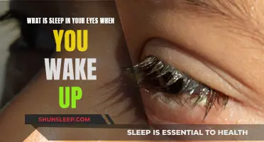 The Mystery of Eye Sleep and Morning Grogginess
