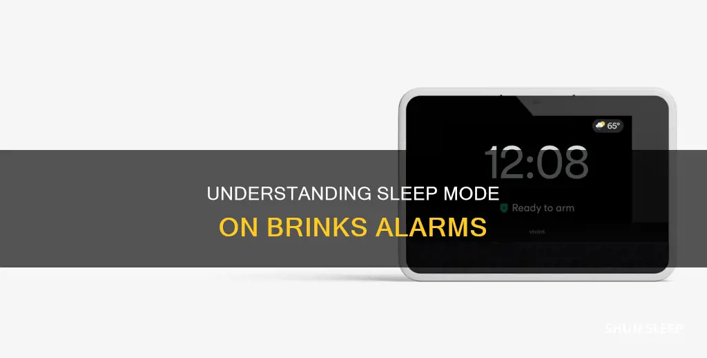 what is sleep means on brinks alarm