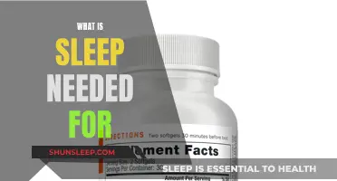Sleep's Role in Brain Function and Health Maintenance