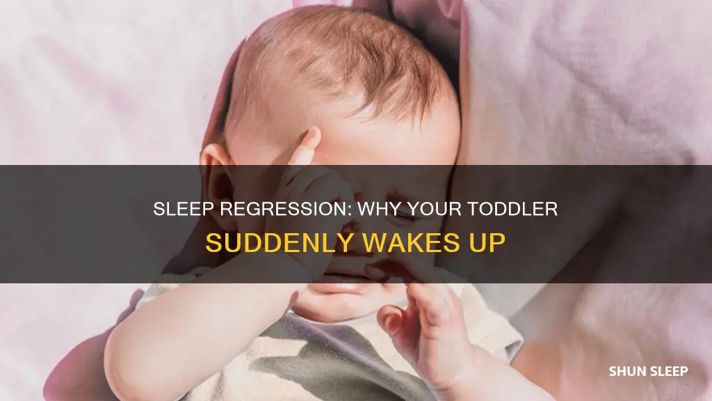 what is sleep regression in 1 year old