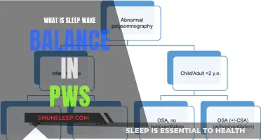 Understanding Sleep-Wake Balance: A Key to Managing PWS