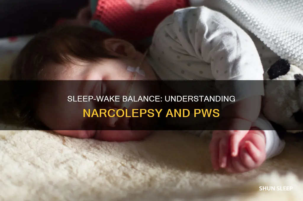 what is sleep wake balance in pws