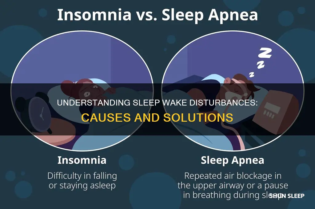 what is sleep wake disturbances