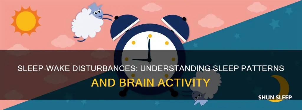 what is sleep wake disturbances
