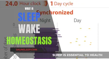 Understanding Sleep-Wake Homeostasis: The Science of Sleep Need