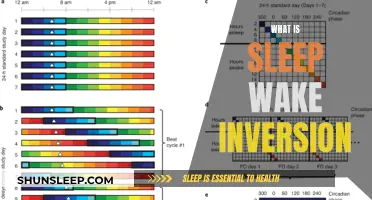 Understanding Sleep Wake Inversion: A Comprehensive Guide