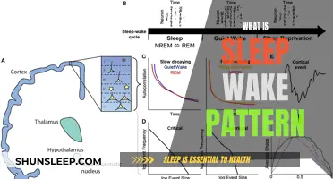 Understanding Sleep-Wake Patterns: A Guide to Restful Days and Productive Nights