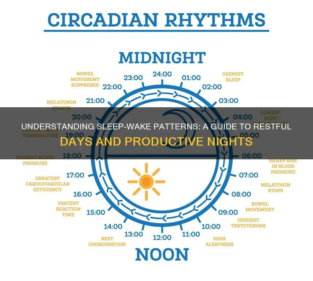 what is sleep wake pattern