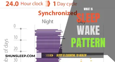 Understanding Sleep-Wake Patterns: Brain Activity and Health