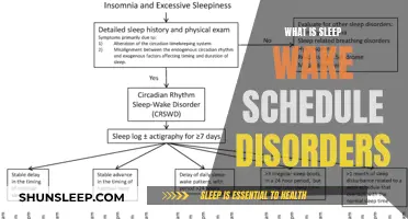 Understanding Sleep-Wake Schedule Disorders: Causes and Solutions