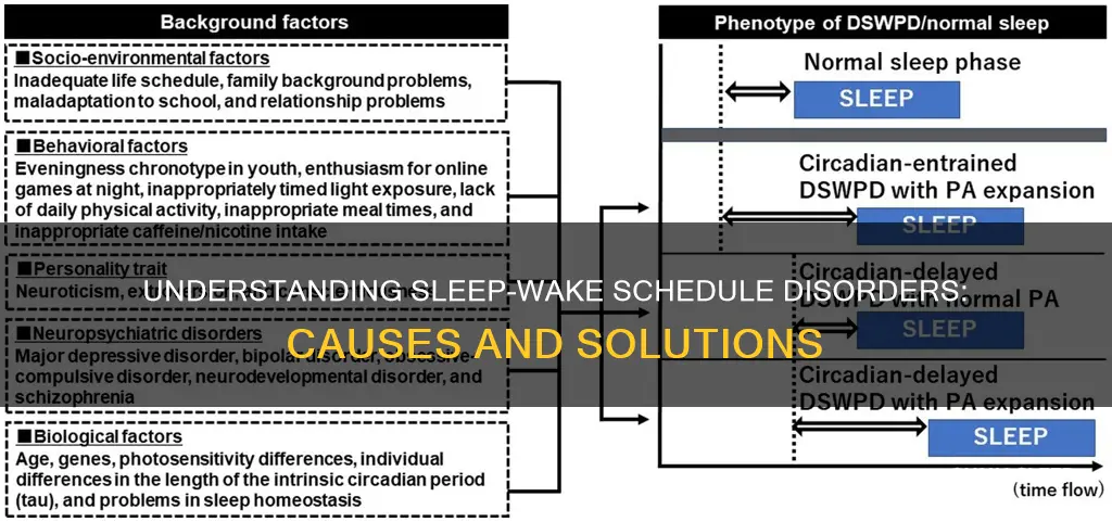 what is sleep wake schedule disorders