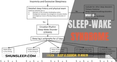 Understanding Sleep-Wake Syndrome: A Comprehensive Guide to Disruptive Sleep Patterns