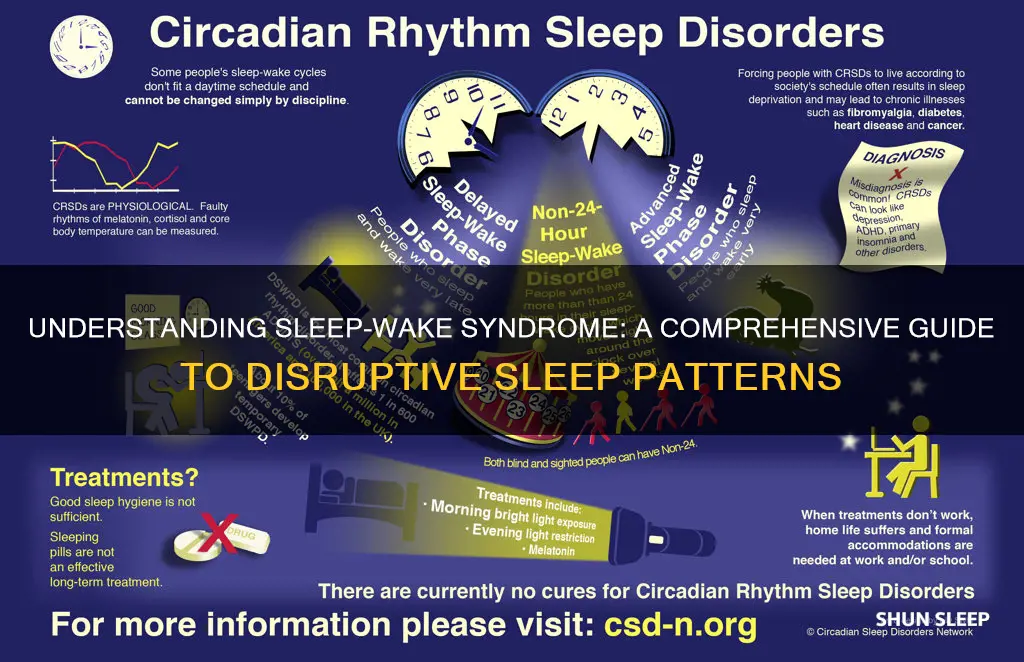 what is sleep-wake syndrome