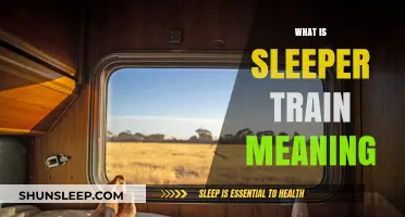 Exploring Sleeper Trains: Travel and Accommodation Combined