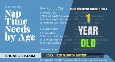 Developing Healthy Sleep Patterns for Your 1-Year-Old