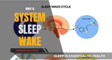 Understanding System Sleep Wake: A Comprehensive Guide