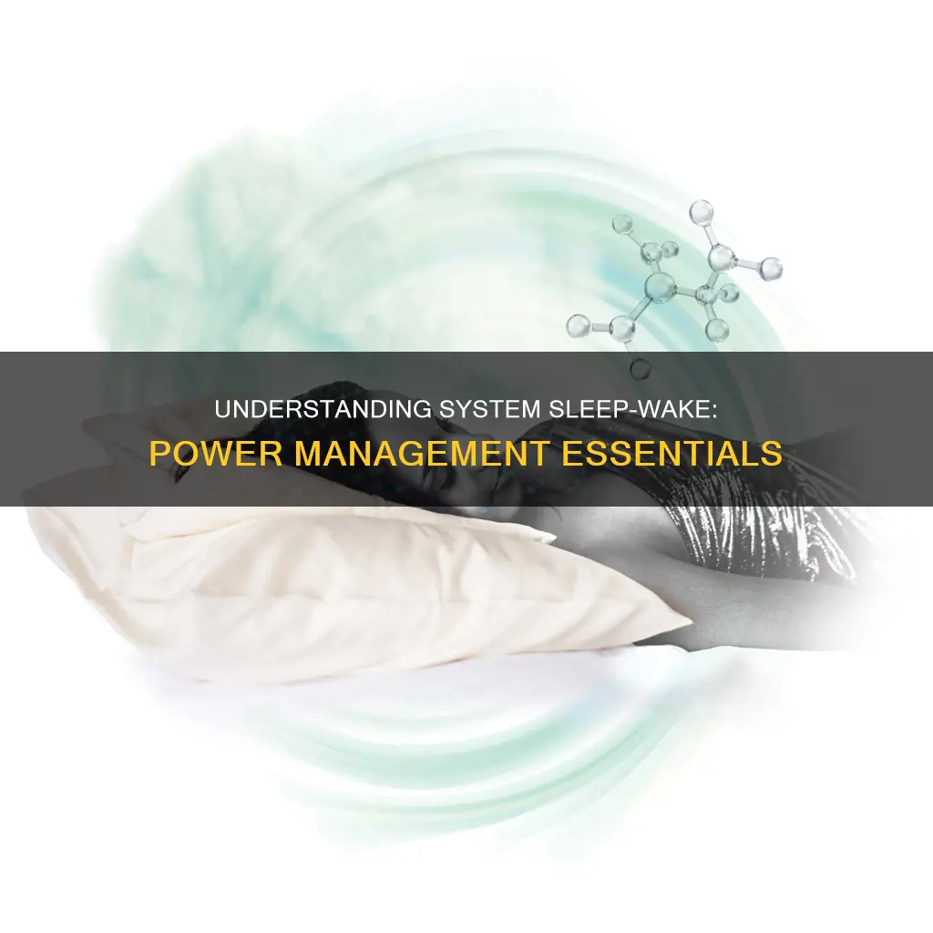what is system sleep wake