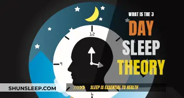 Exploring the Sleep Theory: Three-Day Cycle for Optimal Rest