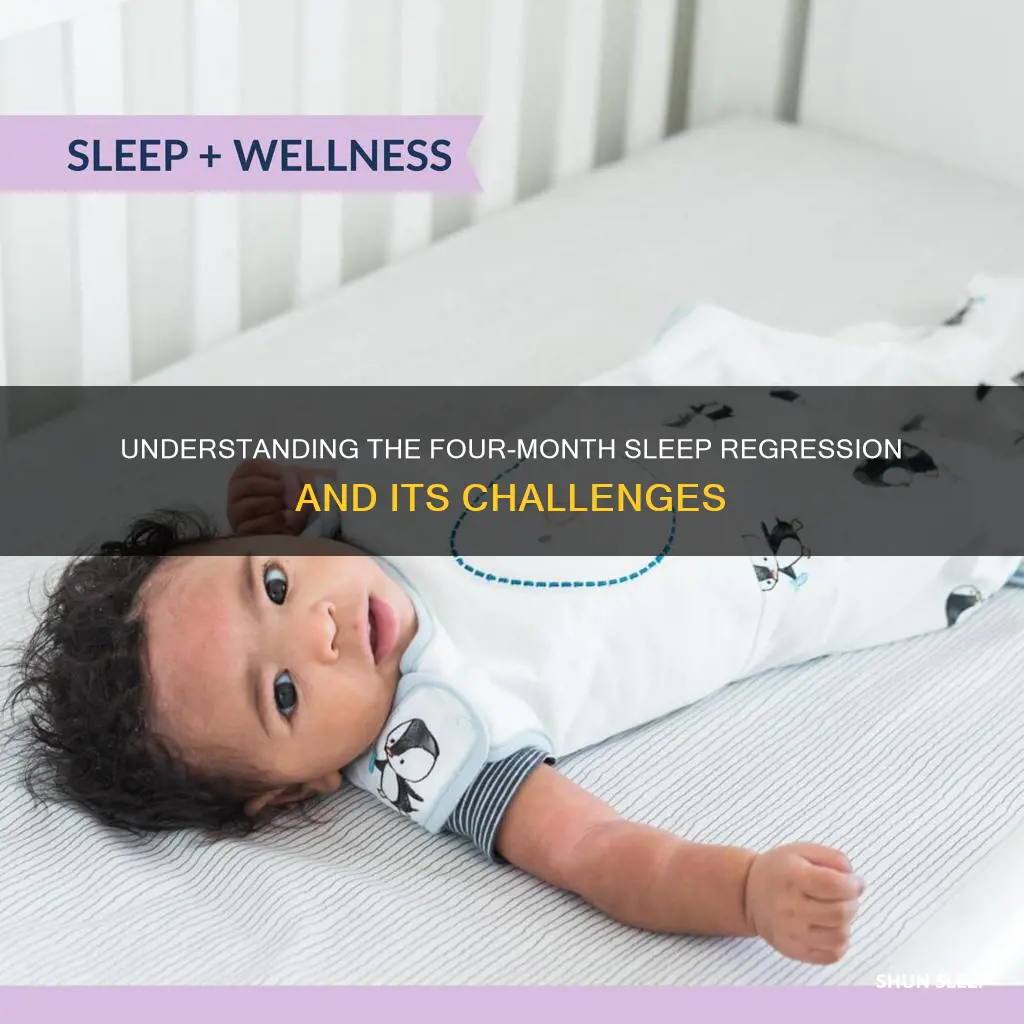 what is the 4 month old sleep regression