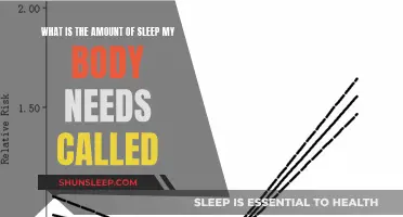 Sleep Requirements: Understanding Your Body's Optimum Rest