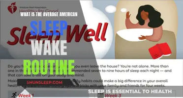 Uncovering the Average American's Sleep-Wake Cycle: A Day in the Life