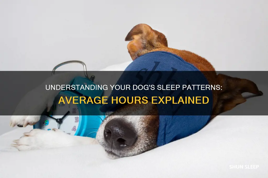 what is the average amount of sleep a dog gets