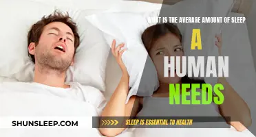 Sleep Sweet Spot: How Much Rest Do We Need?