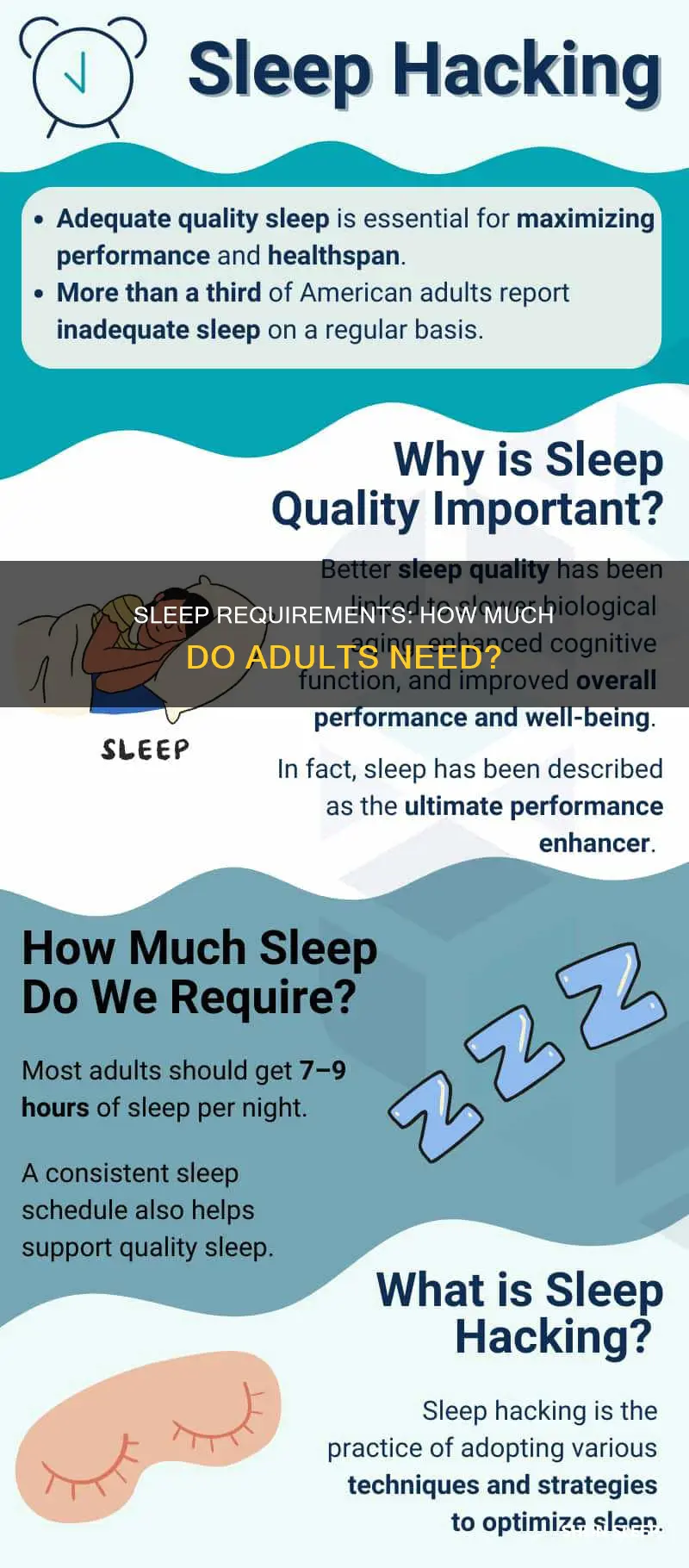 what is the average amount of sleep adults need