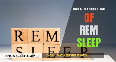 How Long is REM Sleep on Average?