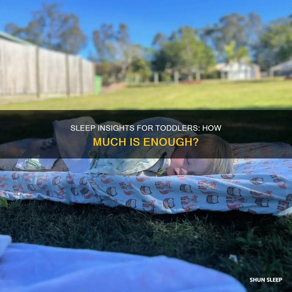 what is the average sleep for a 2-3 year old