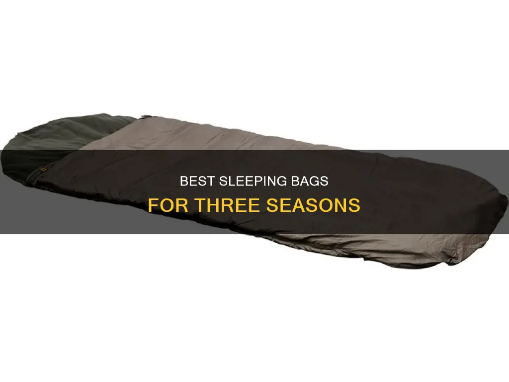 what is the best 3 season sleeping bag