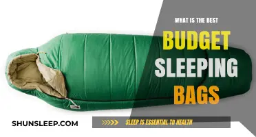 Best Sleeping Bags for Budget-Conscious Campers