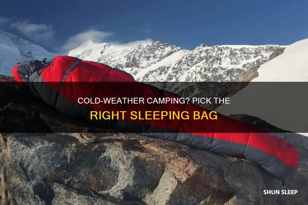 what is the best cold weather sleeping bag