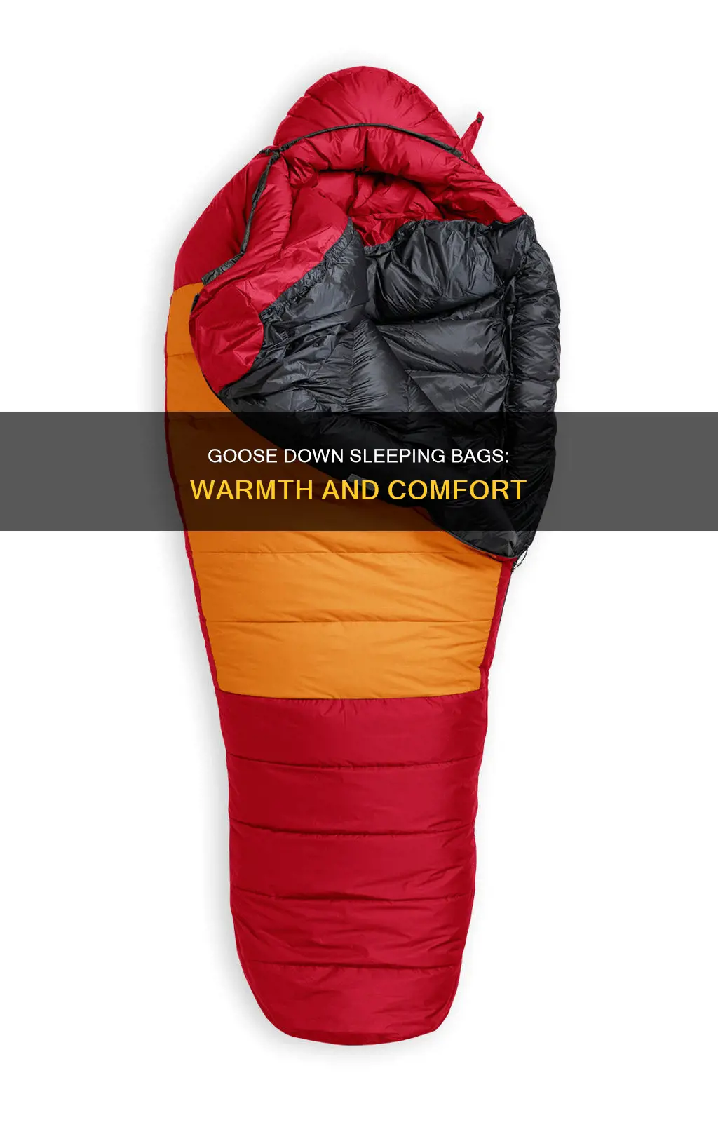 what is the best goose down sleeping bag