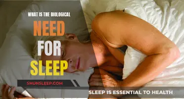 Why Do Humans Need Sleep? Biological Reasons