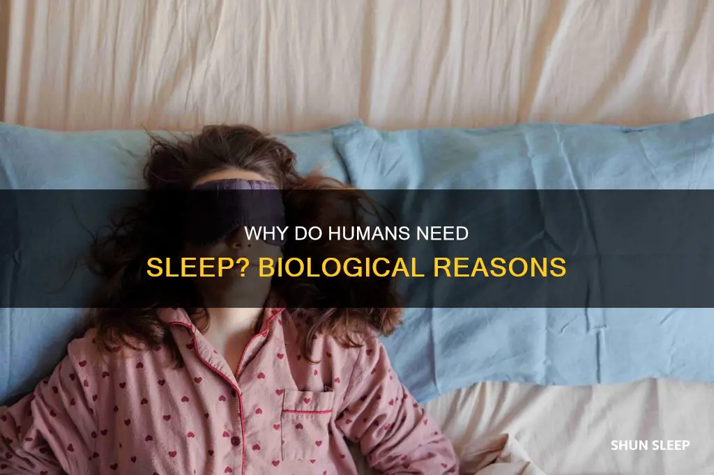 what is the biological need for sleep
