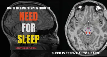 Brain Chemistry and Sleep: Understanding the Connection