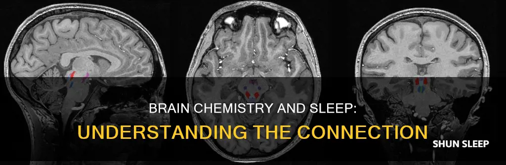 what is the brain chemistry behind the need for sleep