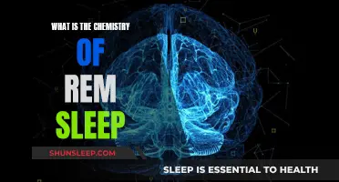 Chemistry of REM Sleep: Brain, Body and Mind