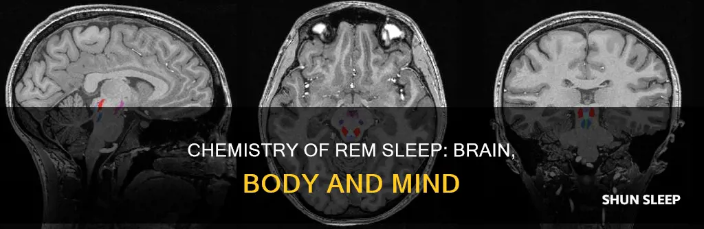 what is the chemistry of rem sleep