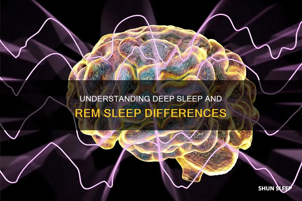 what is the difference between deep sleep and rem sleep