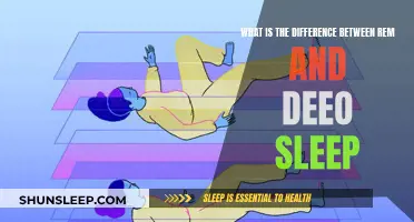 REM and Deep Sleep: Understanding Their Unique Differences