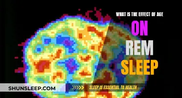 The Aging Brain: Impact on REM Sleep