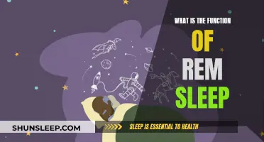 Understanding REM Sleep: Its Vital Functions and Benefits