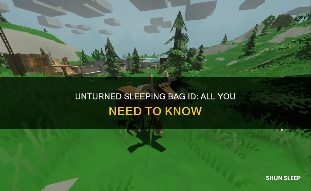 what is the id for a sleeping bag in unturned