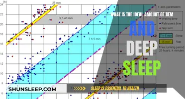 Understanding the Ideal Ratio of REM to Deep Sleep