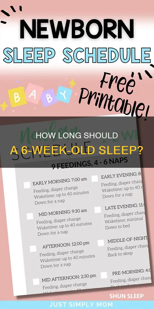 what is the longest a 6 week old should sleep