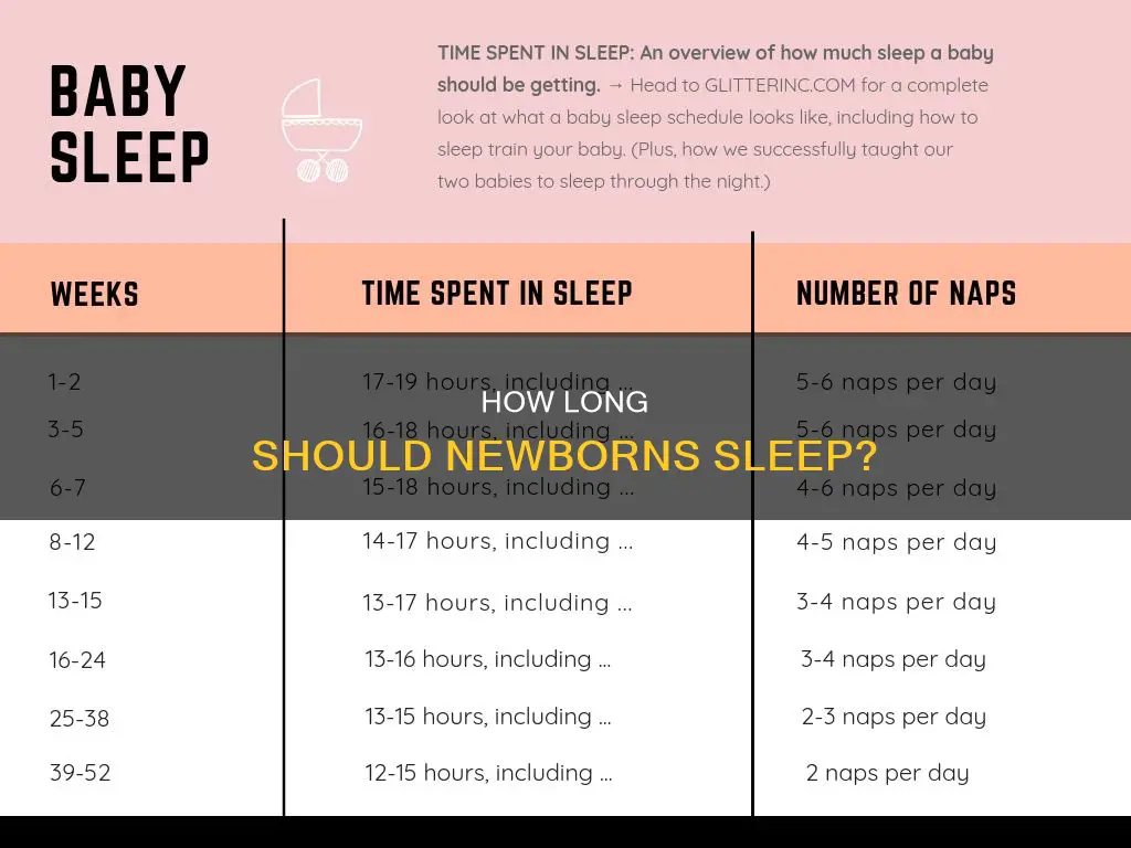 what is the longest a newborn should sleep
