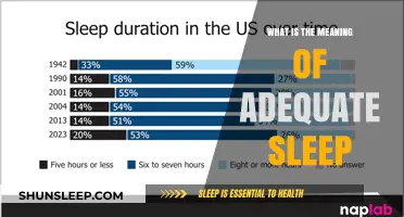 Sleep Quality: Adequate Sleep's Meaning