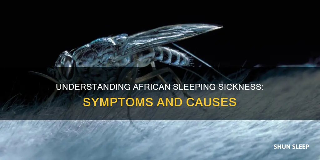 what is the meaning of african sleeping sickness
